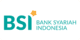 BSI Pay logo